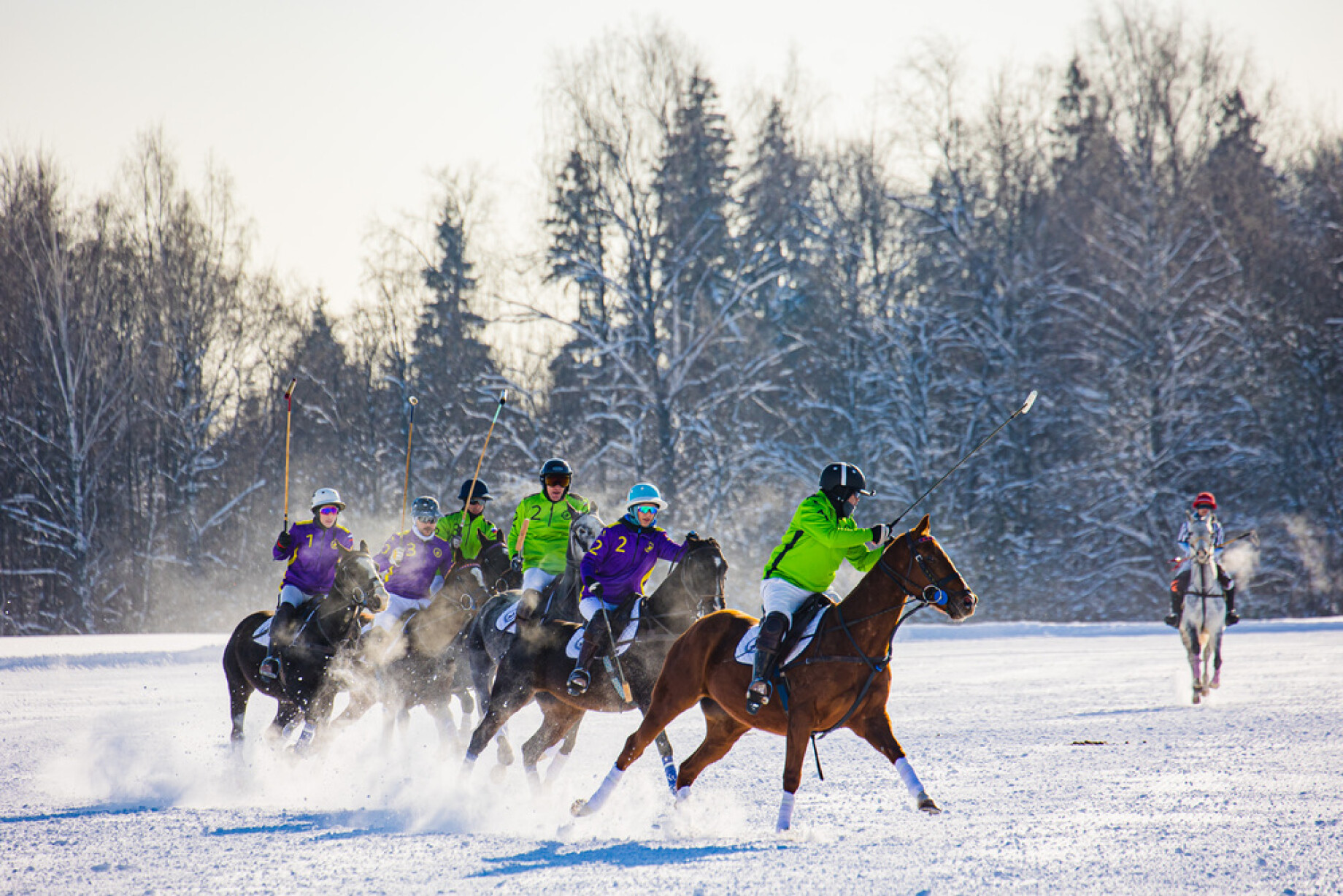 «Спорт для сверхуспешных людей»: члены Forbes Club посетили открытие сезона снежного поло